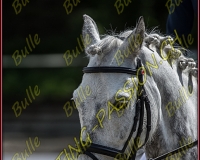 BULLE 0470-Modifier